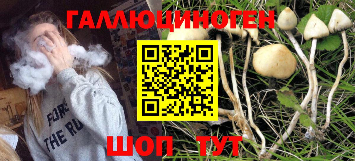 Дубна  Галлюциногенные грибы мухоморы  Вход с VPN 
